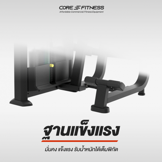 Back Extension TE11 เครื่องบริหารกล้ามเนื้อหลังส่วนล่าง มาตรฐานฟิตเนสเซ็นเตอร์