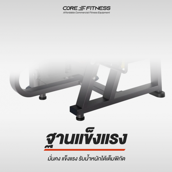 Horizontal and seated Leg Curl TE28 เครื่องบริหารกล้ามขา มาตรฐานฟิตเนสเซ็นเตอร์