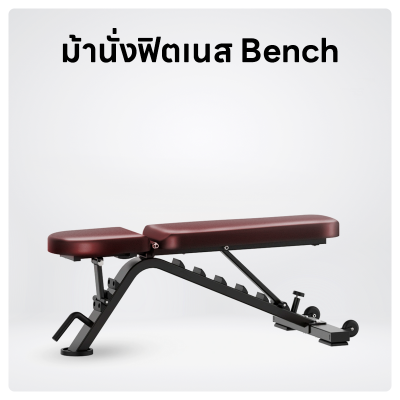 ม้านั่งฟิตเนส Bench & Stretcher