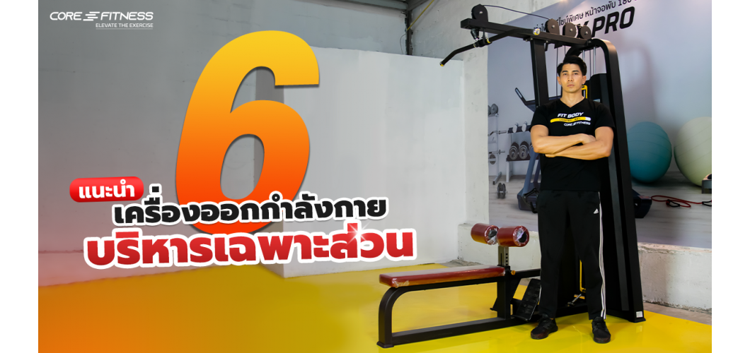 6 เครื่องออกกำลังกายบริหารเฉพาะส่วน