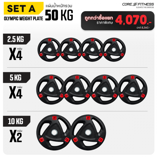 Rack Vertical Plate Tree (TB54) อุปกรณ์เก็บแผ่นน้ำหนัก